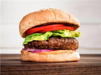 Beef Burger Sandwich