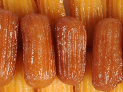 Zeinab Fingers