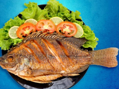 Tilapia Fish