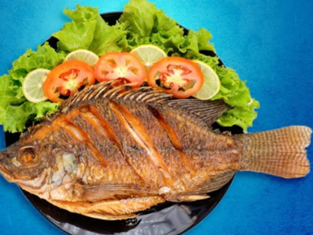 Tilapia Fish