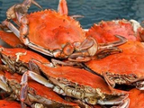 Female Crab