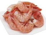 Shrimp