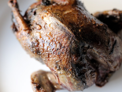 Grilled Pigeon