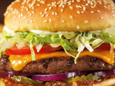 Classic Burger Sandwich