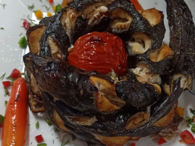 Eel Fish