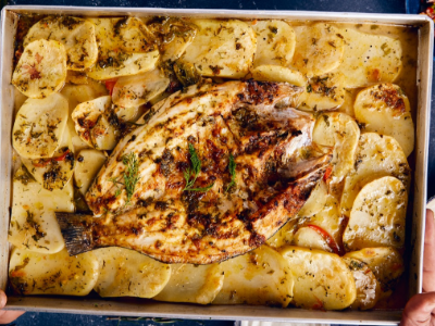 Sea Bass Fish