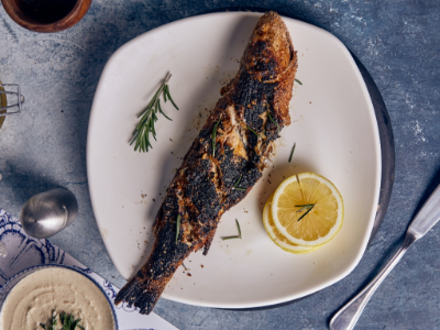 Grey Mullet Fish Meal