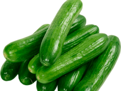 Kilo Cucumber
