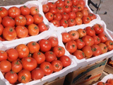 Kilo Tomatoes