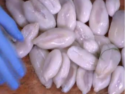 Squid Eggs