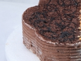 Chocolate Ice Cream Cake