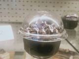 Nutella Chocolate Cup