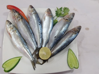 Baladi Sardine Fish