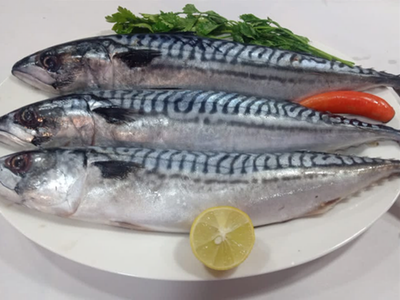Russian Fish - First Class