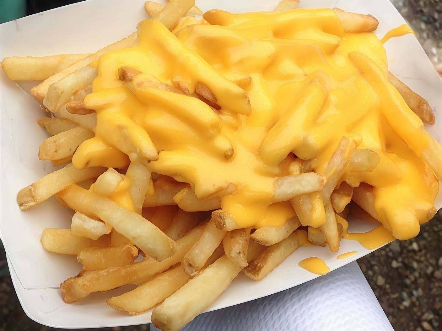 French Fries With Cheese