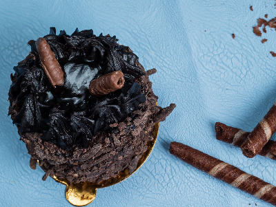 Chocolate fudge with chocolate flutes pieces