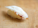 Nigiri Octopus