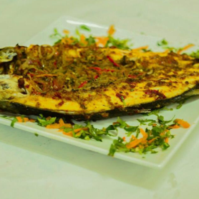 Grey Mullet Fish