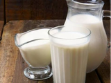 Buffalo Milk