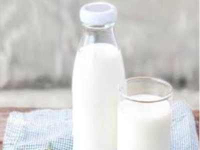 Falahi Buffalo Milk 1 Kilo