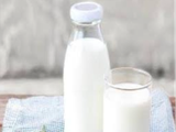 Falahi Buffalo Milk 1 Kilo