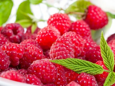 Raspberry Milkshake