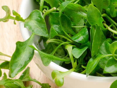 Arugula And Lemon Platter