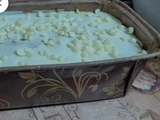 وايت ديسباسيتو