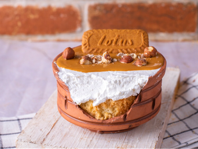 Treliche Casserole