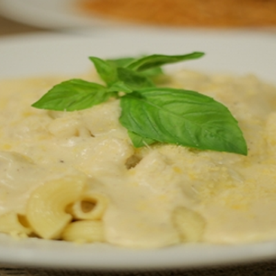 Pasta With White Sauce
