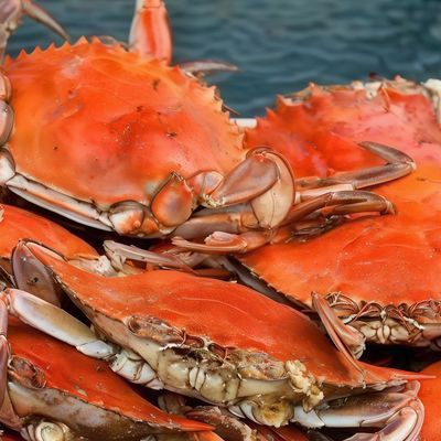 Grilled Crab