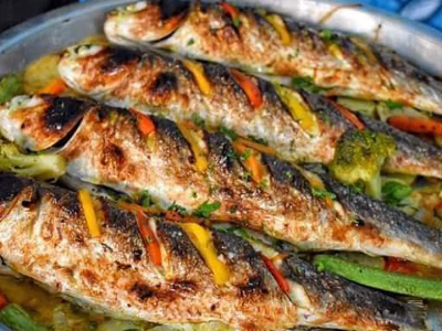 Grey Mullet Fish