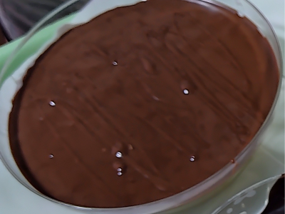 Rice Pudding With Nutella Chocolate