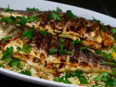 Sea Bass Fish