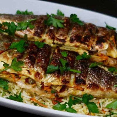 Sea Bass Fish