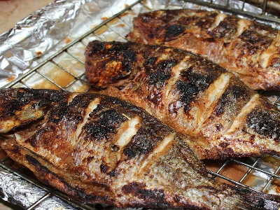 Grilled Tilapia Fish