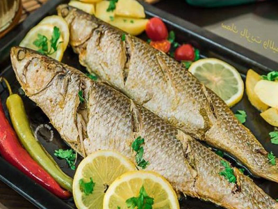 Grey Mullet Fish