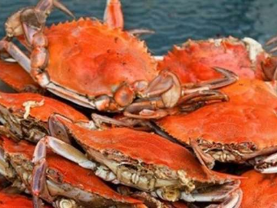 Female Crab