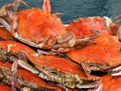 White Sauce Crabs