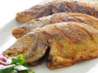 Tilapia Fish