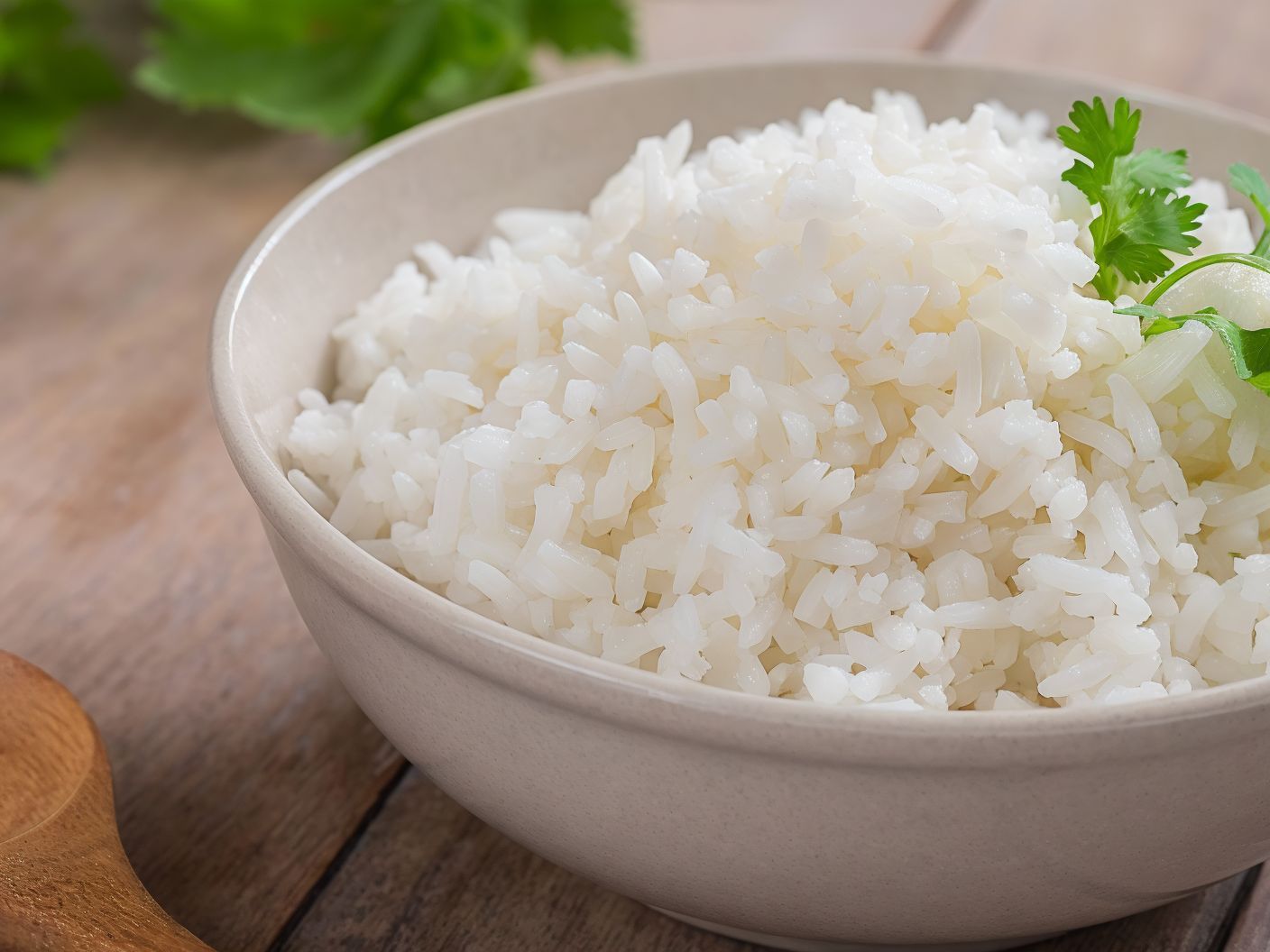 Plain Rice