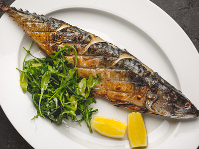Hollandia Mackerel
