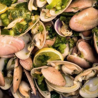 Clams