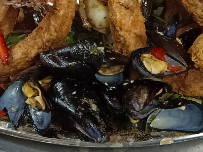 Mussels