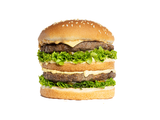 Double Cheese Burger Sandwich