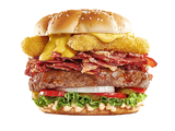 Special Burger Sandwich