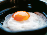 Fried Eggs
