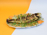 Grey Mullet Fish