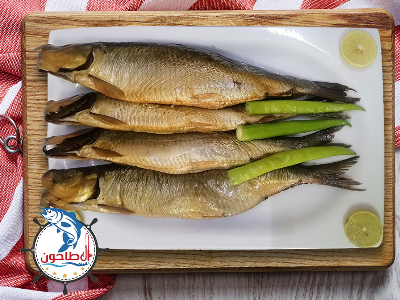 Medium Dutch Herring