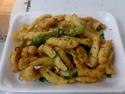 Squid
